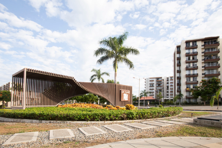 imagen palmera