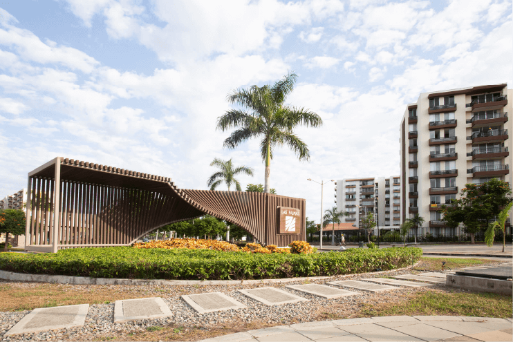 imagen-palmera
