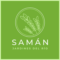 Samán